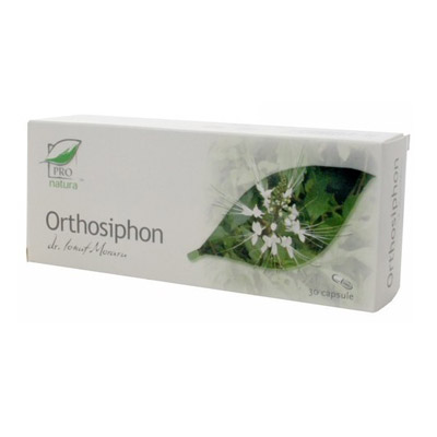 Orthosiphon
