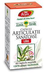 Ceai Antireumatic (Articulatii sanatoase), Fares, 50 g | prajituri-cluj.ro