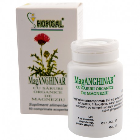 MagAnghinar cu saruri organice de Magneziu  60 comprimate Hofigal