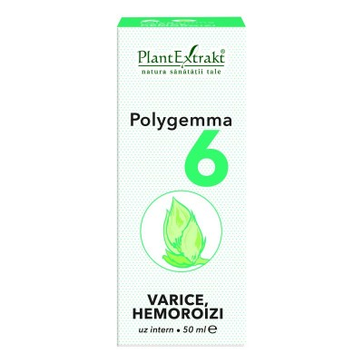 PlantExtrakt Polygemma Nr. 6 Varice hemoroizi